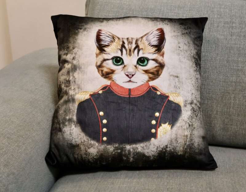 Coussin - Housse Cat Amiral